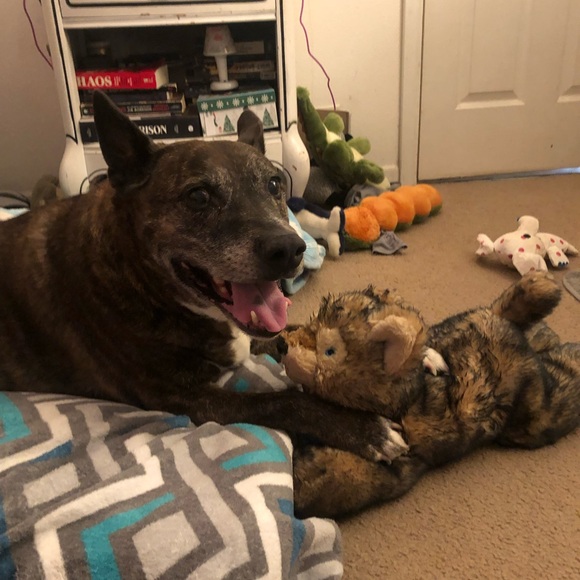 End of duty 6/12/24 - Picture 3 of 15